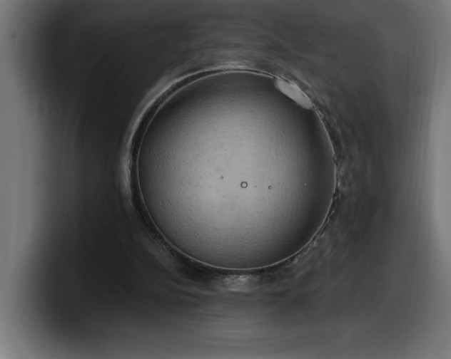 X0000100500152200806131443