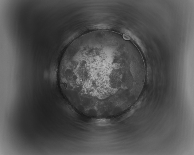 X0000100500153200806131443