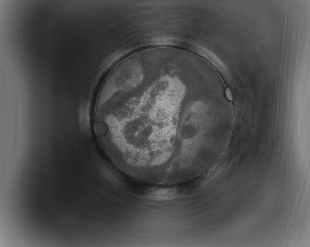 X0000100500155200806131443