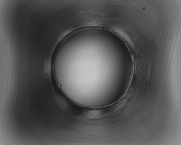 X0000100500156200806131443