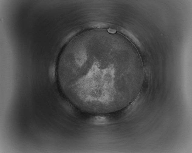 X0000100500159200806131443