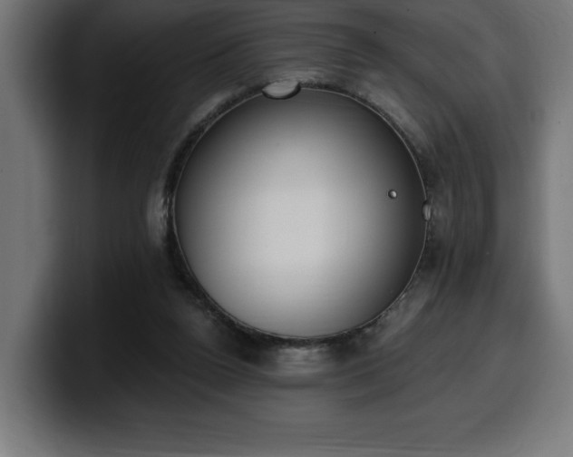 X0000100500160200806131443