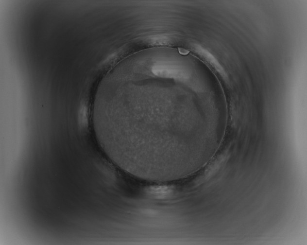 X0000100500161200806131443