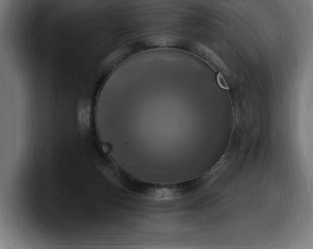 X0000100500163200806131443