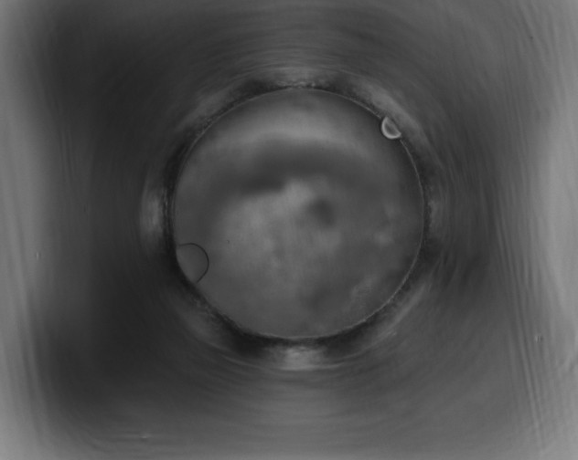 X0000100500165200806131443