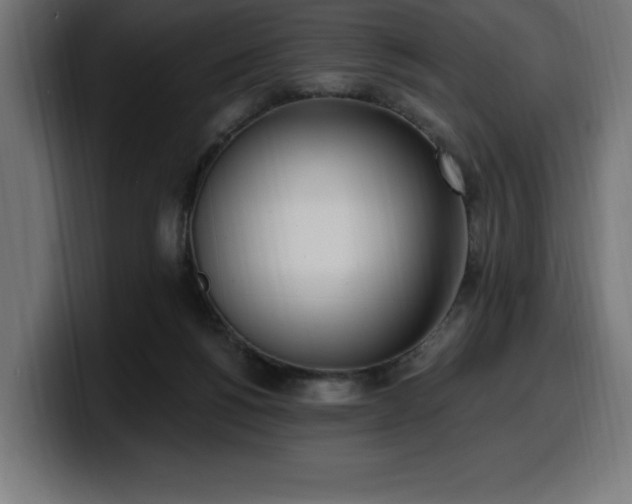 X0000100500168200806131443