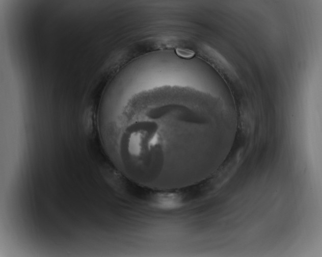 X0000100500169200806131443