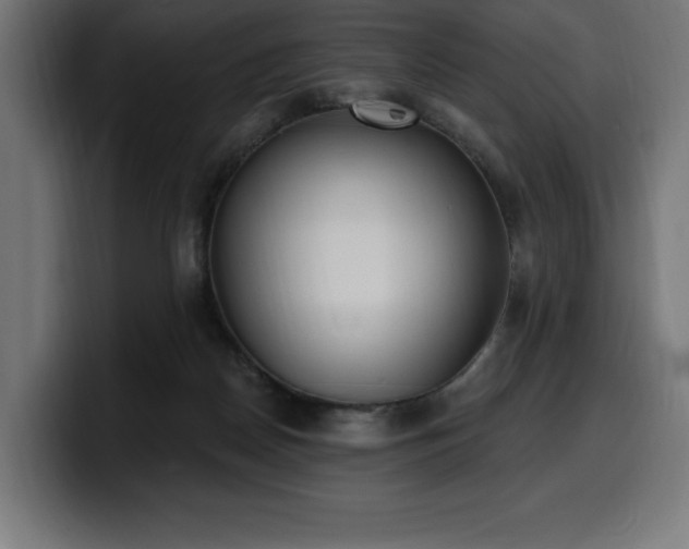 X0000100500170200806131443