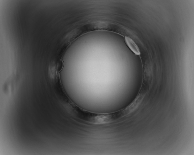 X0000100500172200806131443