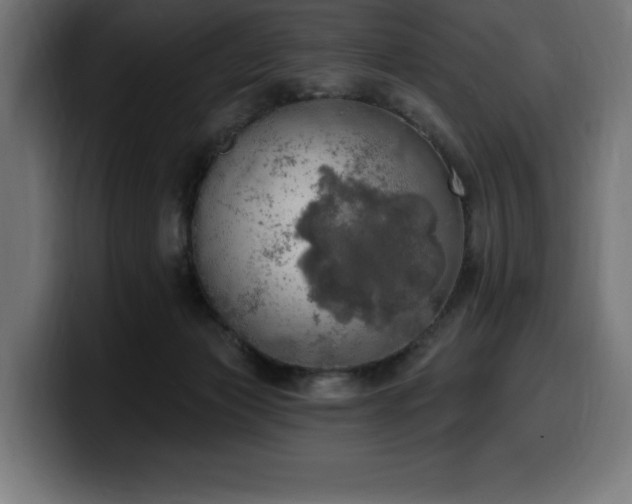 X0000100500173200806131443