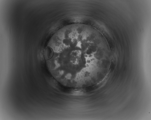 X0000100500175200806131443