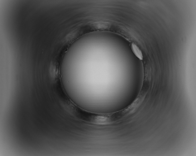 X0000100500176200806131443