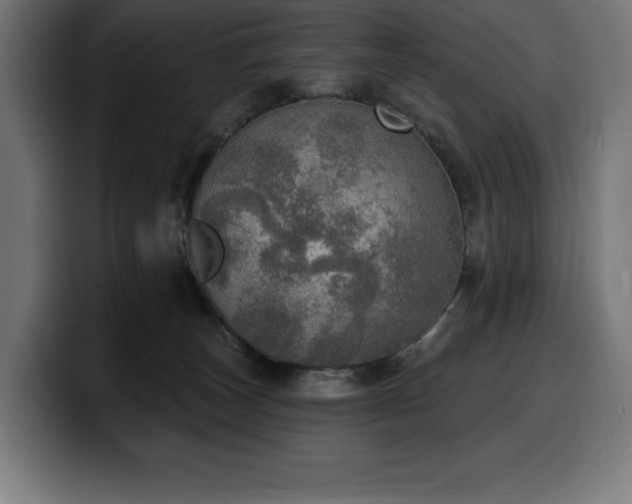 X0000100500179200806131443