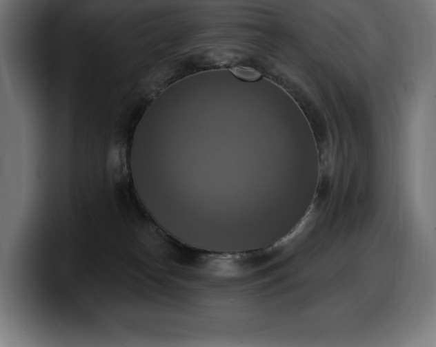 X0000100500182200806131444