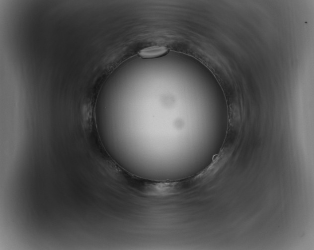 X0000100500184200806131444