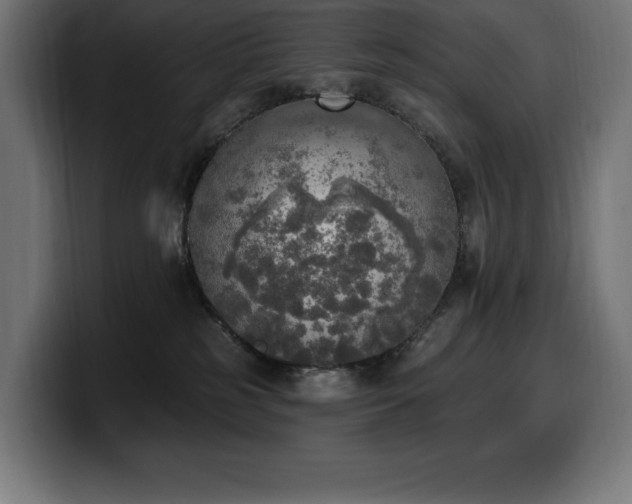 X0000100500185200806131444