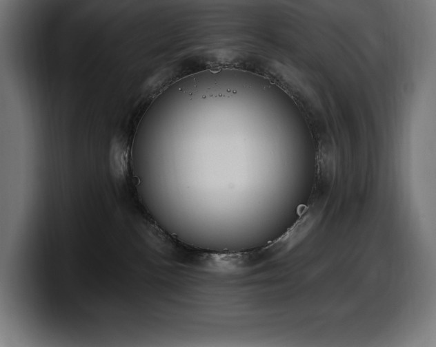 X0000100500188200806131444