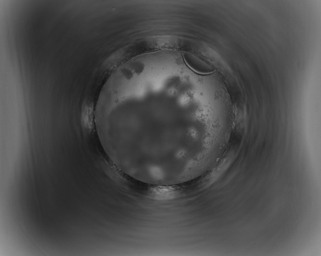 X0000100500189200806131444