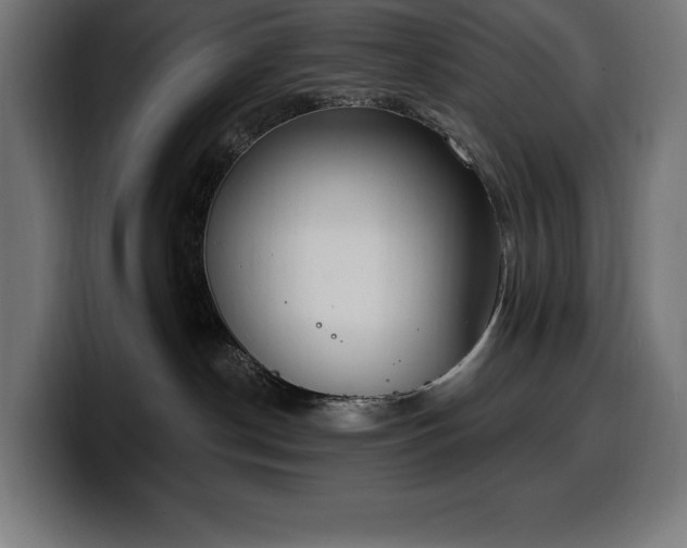 X0000100500190200806131444