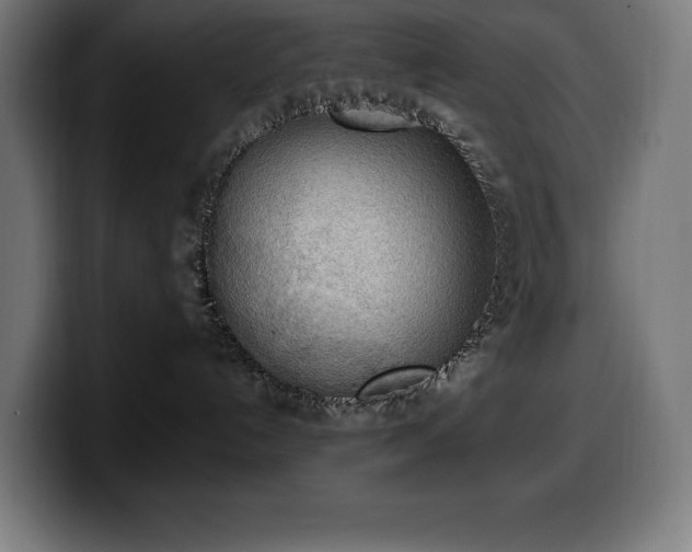 X0000100500192200806131444