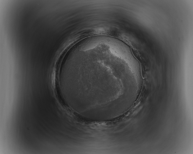 X0000100500194200806131443