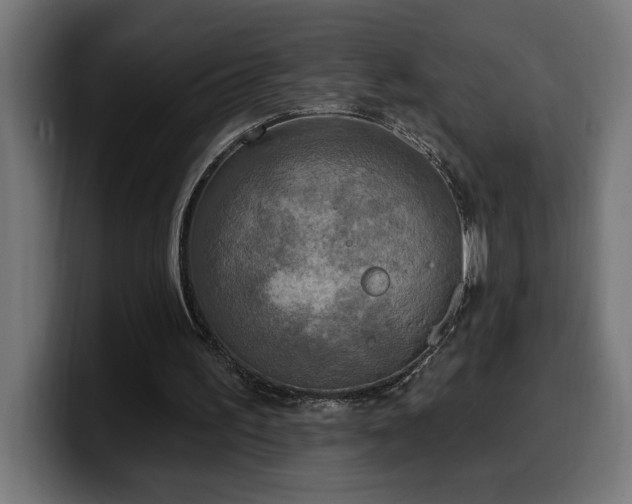 X0000100500195200806131443