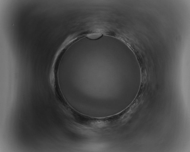 X0000100500198200806131443