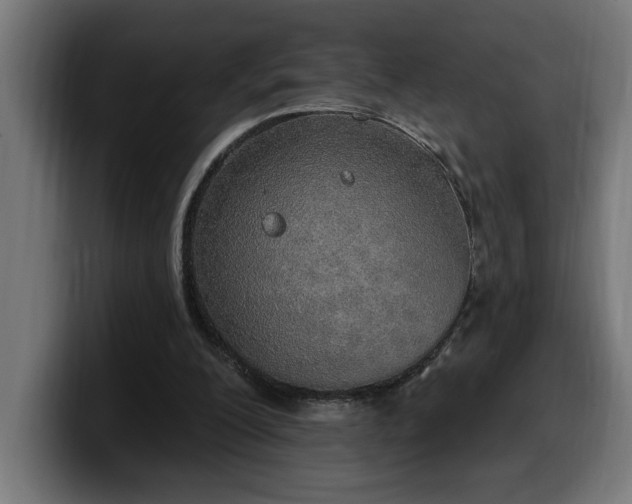 X0000100500200200806131443