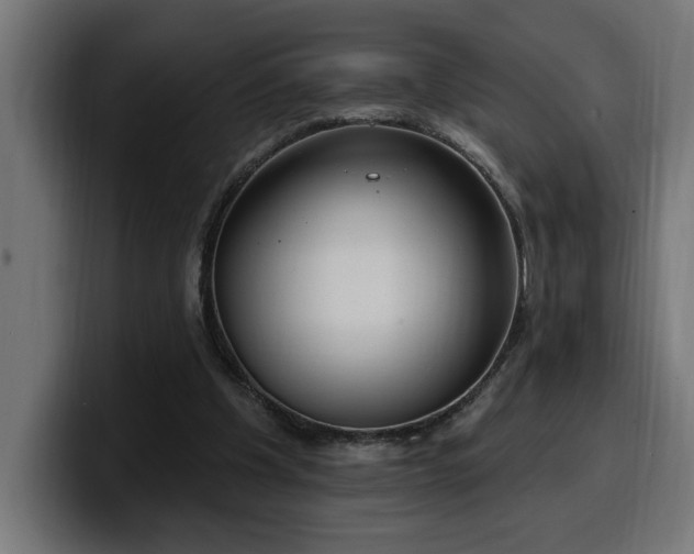 X0000100500201200806131443