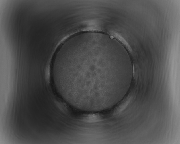 X0000100500204200806131443