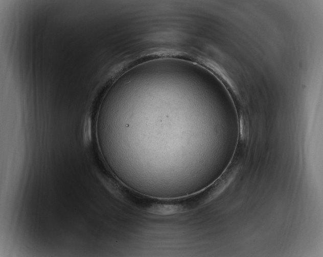 X0000100500205200806131443