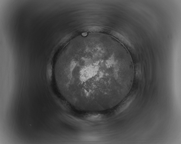 X0000100500206200806131443