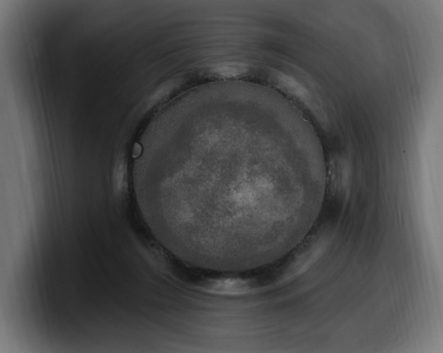 X0000100500212200806131443