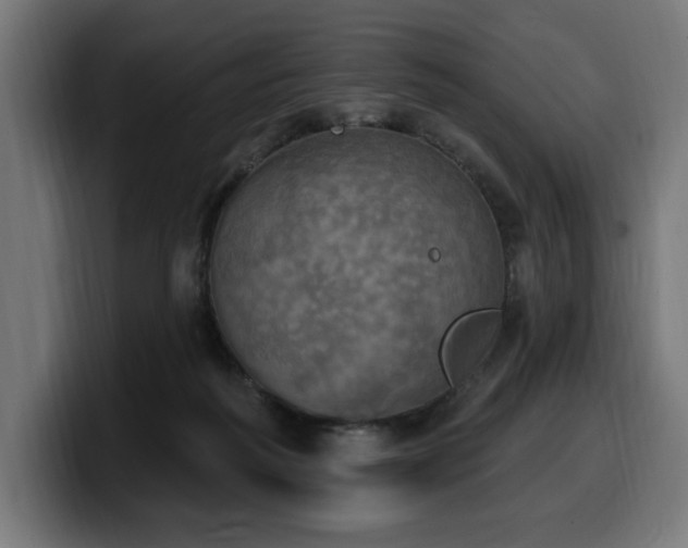 X0000100500218200806131443