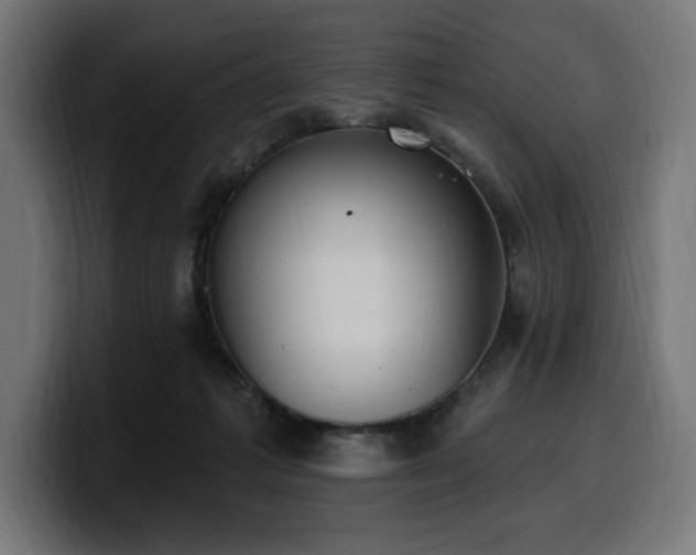 X0000100500221200806131443