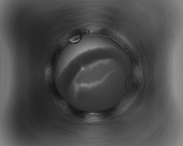 X0000100500222200806131443