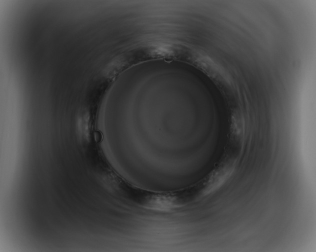 X0000100500223200806131443