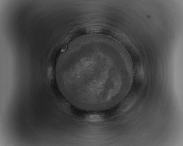 X0000100500224200806131443