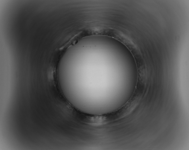 X0000100500225200806131443