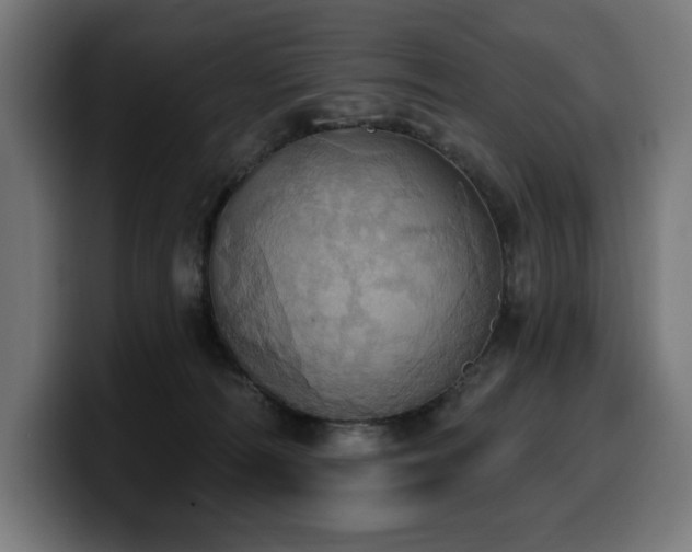 X0000100500226200806131443