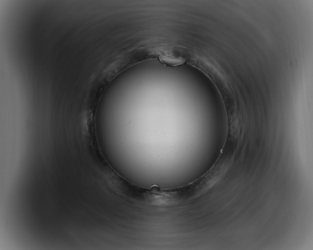 X0000100500229200806131443