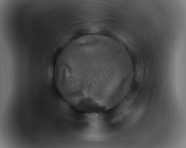 X0000100500230200806131443