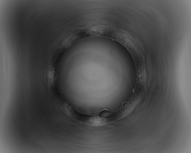 X0000100500231200806131443