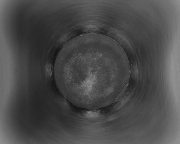 X0000100500232200806131443