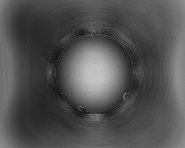 X0000100500233200806131442