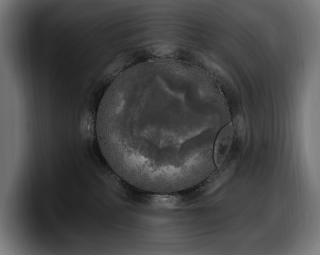 X0000100500234200806131442