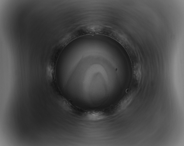 X0000100500235200806131442