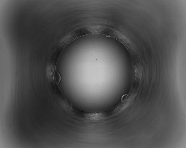 X0000100500237200806131442