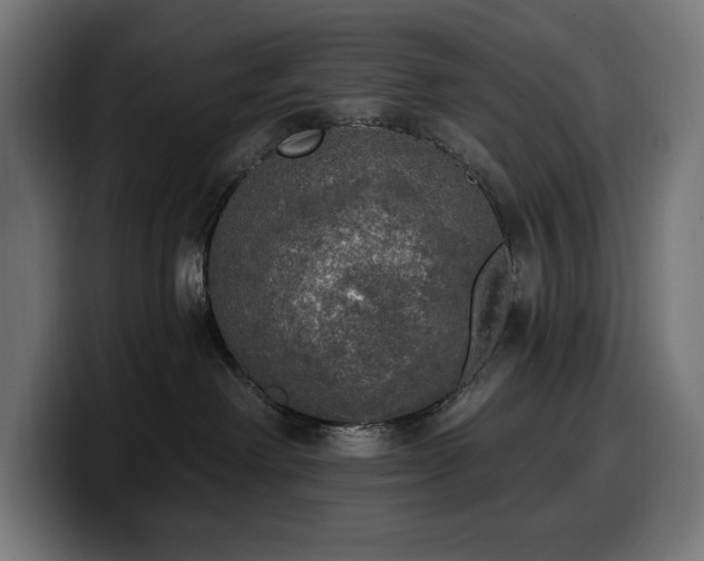 X0000100500238200806131442