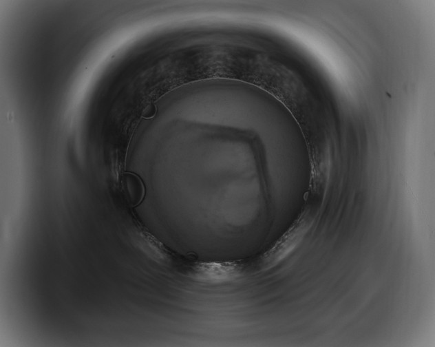 X0000100500239200806131442